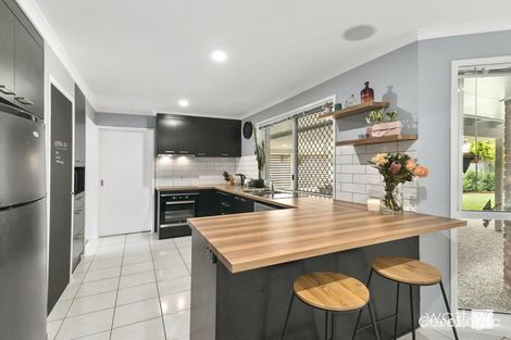 Property photo of 44 Balcara Avenue Carseldine QLD 4034