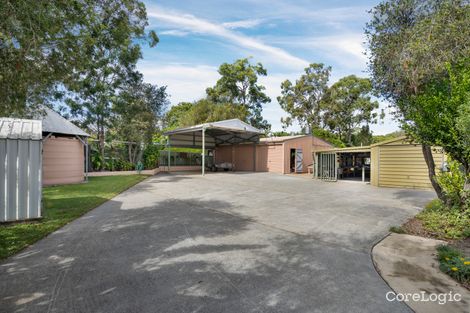 Property photo of 14 Catherine Street Birkdale QLD 4159