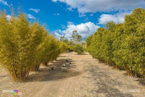 Property photo of 46 Beer Road Kilkivan QLD 4600