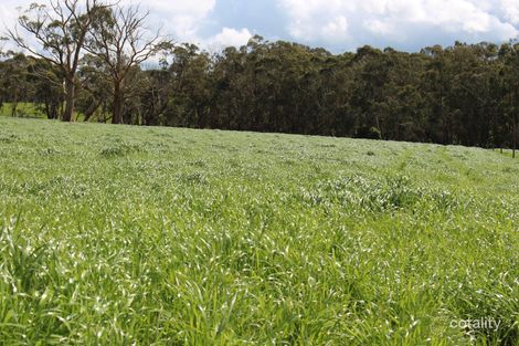 42 Floyds Rd, Scotts Creek, VIC 3267