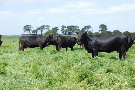 69 Gilbruc Rd, Mingbool, SA 5291