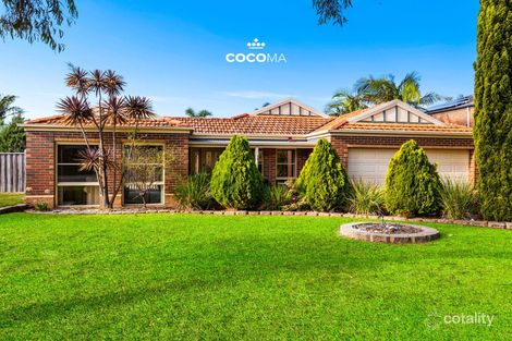 Property photo of 6 Marabou Close Narre Warren South VIC 3805