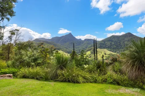 Property photo of 2009 Kyogle Road Terragon NSW 2484