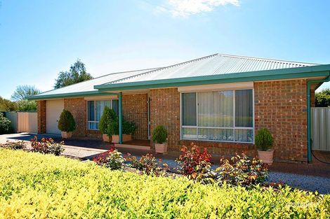 Property photo of 6 Tregenza Street Nuriootpa SA 5355