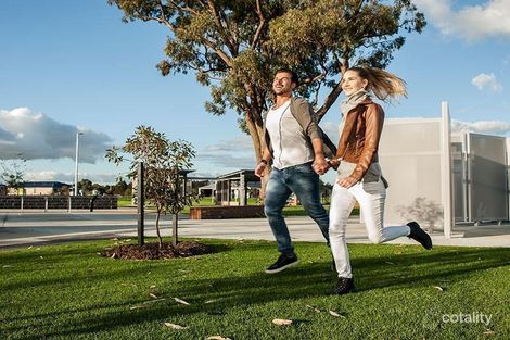 17 Cassinia St, Baldivis, WA 6171