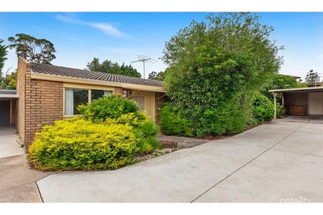 3/24 Mulgrave St, Ashwood, VIC 3147