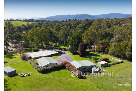 55 Burr Rd, Woori Yallock, VIC 3139