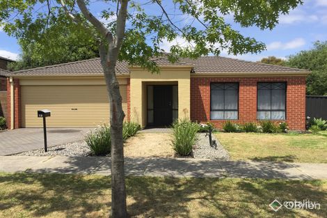 Property photo of 13 Findon Way Berwick VIC 3806