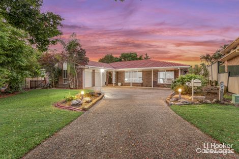 Property photo of 8 Lynx Court Algester QLD 4115