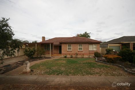 6 Farne Tce, Marion, SA 5043