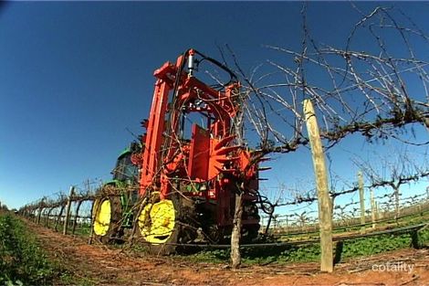 783 Wood Rd, Yenda, NSW 2681