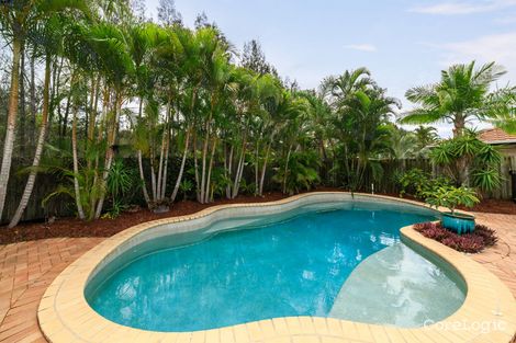 Property photo of 8 Rosswood Court Helensvale QLD 4212