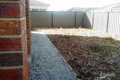 Property photo of 15 Dexter Grove Point Cook VIC 3030
