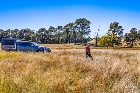 Property photo of 100 Nummerak Lane Springrange NSW 2618