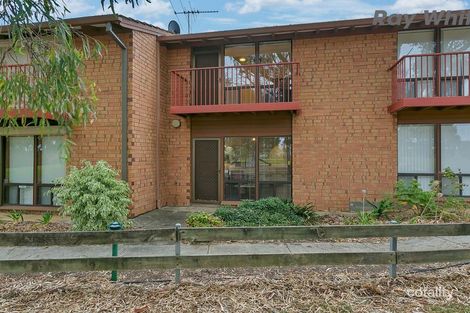 Property photo of 16/21 Cohen Court Clovelly Park SA 5042