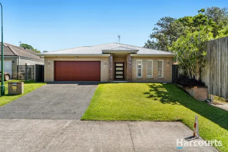 11 Tuckeroo Cct, Adamstown, NSW 2289