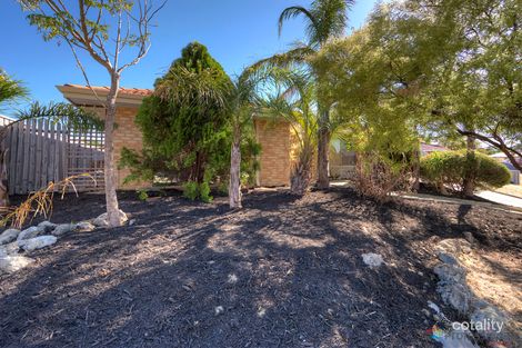 Property photo of 36 Bathgate Loop Koondoola WA 6064