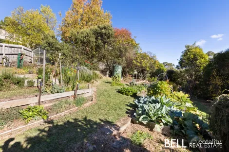 Property photo of 1313 Burwood Highway Upper Ferntree Gully VIC 3156