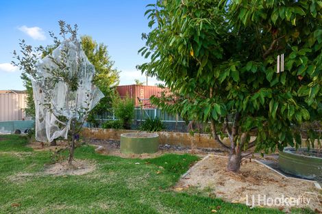 Property photo of 109 Atkinson Street North Collie WA 6225