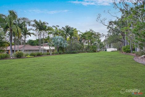 Property photo of 16 Tipuana Drive Capalaba QLD 4157