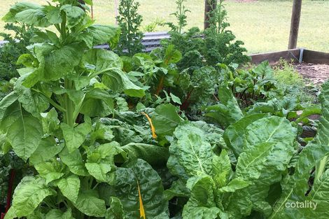 Property photo of 17 Burns Court Heathcote VIC 3523