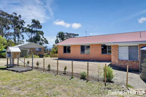 Property photo of 478 White Beach Road White Beach TAS 7184