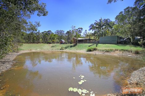 Property photo of 50 Ponderosa Drive Cooroy QLD 4563