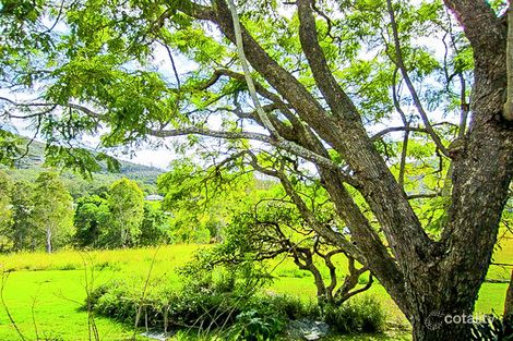 Property photo of 356 Cedar Creek Road Cedar Creek QLD 4207