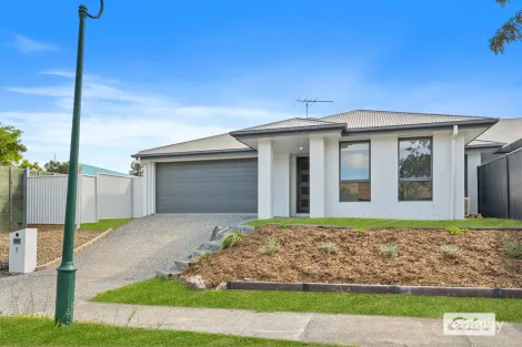 14 Bidmead Cct, Pimpama, QLD 4209