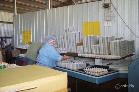 Property photo of 873 Farrells Road Didcot QLD 4621