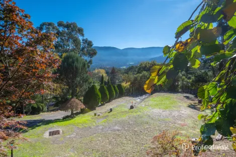 6 Bacchus Cres, Millgrove, VIC 3799
