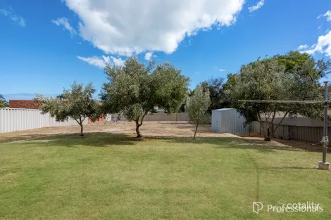 Property photo of 4 Adeena Close Spalding WA 6530