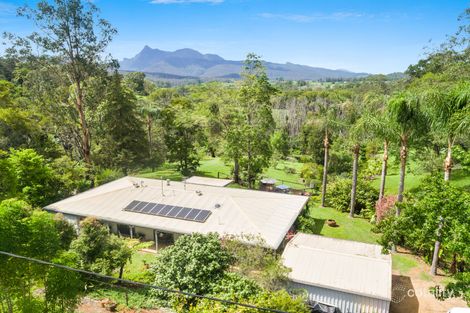 601 Limpinwood Rd, Limpinwood, NSW 2484