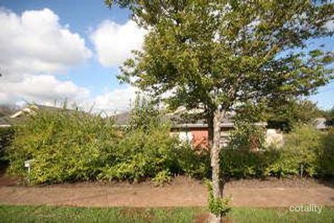 Property photo of 10 Thistle Avenue Klemzig SA 5087