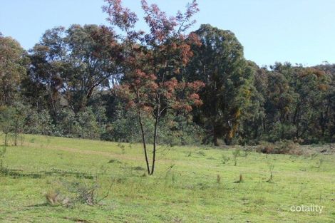 Property photo of 1175 Tea Tree Road Roseberg NSW 2793