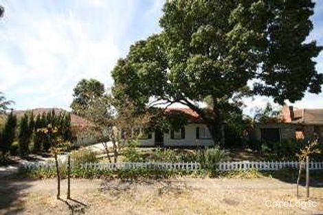 Property photo of 3 Browning Avenue Plympton Park SA 5038