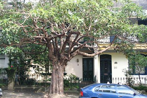 Property photo of 18 Moncur Street Woollahra NSW 2025