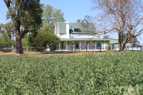 61 Blairmore Lane, Aberdeen, NSW 2336