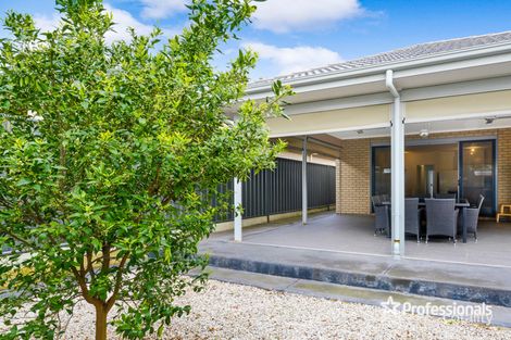 Property photo of 23B Hancock Avenue Campbelltown SA 5074