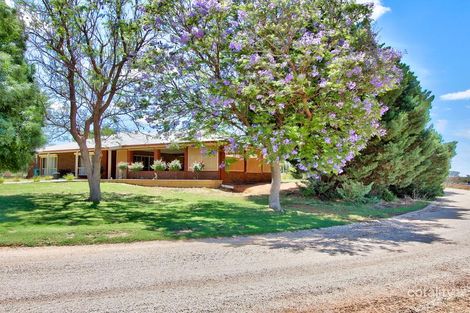 Property photo of 446 Anderson Road Loxton North SA 5333