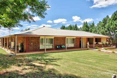 Property photo of 446 Anderson Road Loxton North SA 5333