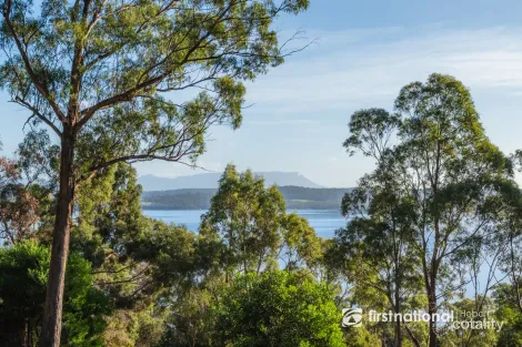 Property photo of 46 Blyth Parade Great Bay TAS 7150