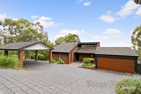 Property photo of 78 Birksgate Drive Urrbrae SA 5064