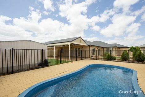 Property photo of 11 Balfour Street Risdon Park South SA 5540