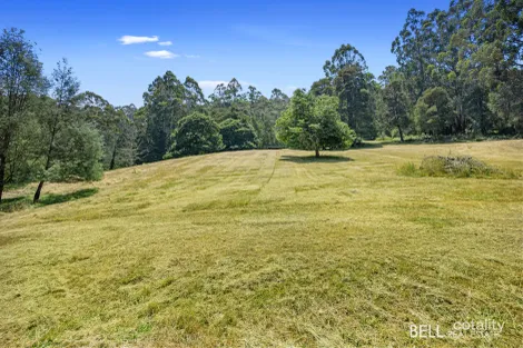 Property photo of 125 Blacksands Road Three Bridges VIC 3797