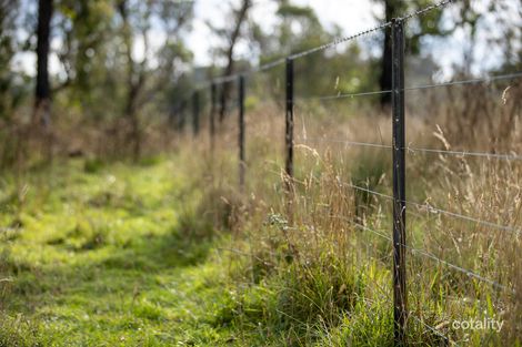 488 Guyra Rd, Ebor, NSW 2453