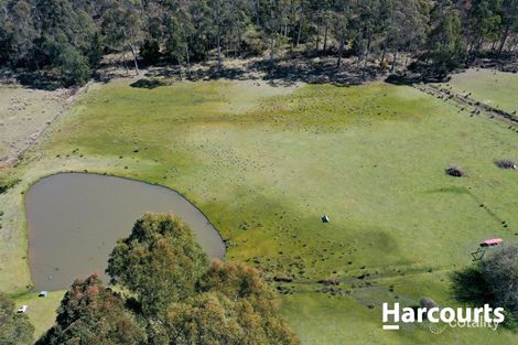 Property photo of 211 Farrells Road Reedy Marsh TAS 7304