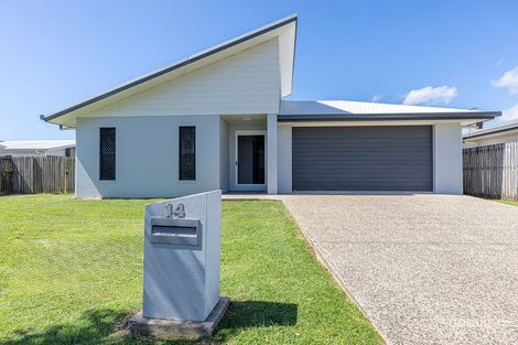 Property photo of 14 Makybe Diva Drive Ooralea QLD 4740