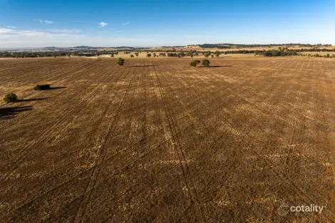 2204 Tooyal Rd, Coolamon, NSW 2701