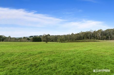 Property photo of 10 Douthie Road Seville VIC 3139